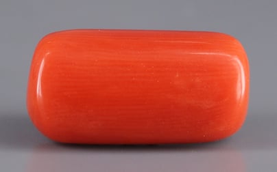 Italian Red Coral - 15.95 Carat Rare Quality CC-5658