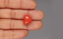 Italian Red Coral - 16.12 Carat Limited Quality TC-5327