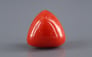 Italian Red Coral - 16.12 Carat Limited Quality TC-5327