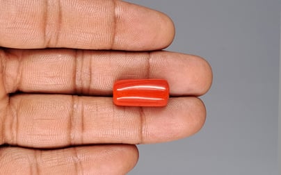 Italian Red Coral - 16.44 Carat Limited Quality CC-5910