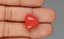 Italian Red Coral - 16.59 Carat Limited Quality TC-5323