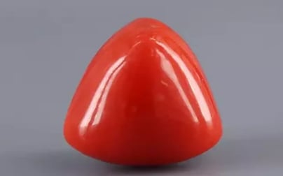 Italian Red Coral - 16.59 Carat Limited Quality TC-5323