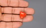 Italian Red Coral - 16.63 Carat Limited Quality TC-5004