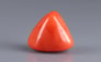 Italian Red Coral - 16.63 Carat Limited Quality TC-5004