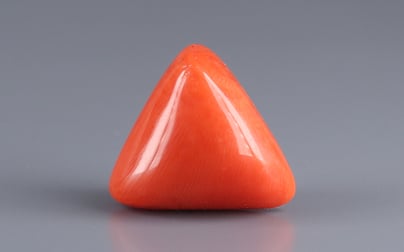 Italian Red Coral - 16.91 Carat Limited Quality TC-5002
