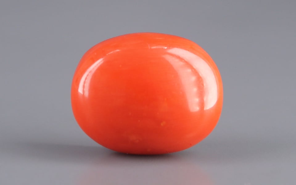 Italian Red Coral - 16.94 Carat Rare Quality CC-5502