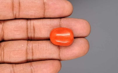 Italian Red Coral - 17.49 Carat Limited Quality CC-5942