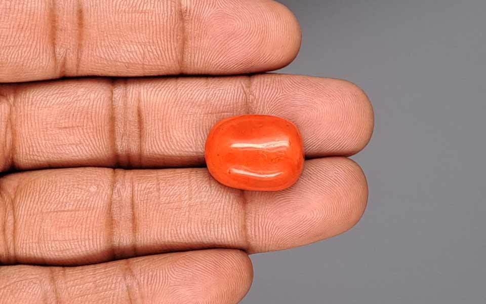 Italian Red Coral - 17.49 Carat Limited Quality CC-5942