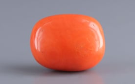 Italian Red Coral - 17.49 Carat Limited Quality CC-5942