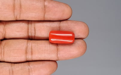 Italian Red Coral - 17.53 Carat Prime Quality CC-5907