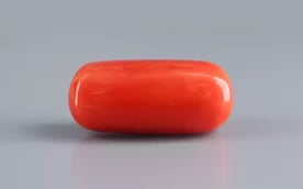 Italian Red Coral - 18.14 Carat Limited Quality CC-5878