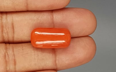 Italian Red Coral - 18.28 Carat Limited Quality CC-5786