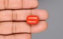 Italian Red Coral - 18.48 Carat Limited Quality CC-5941