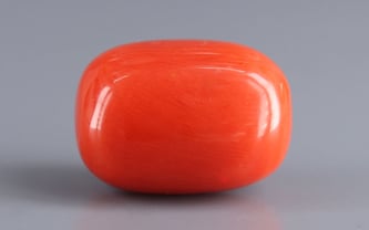 Italian Red Coral - 18.48 Carat Limited Quality CC-5941