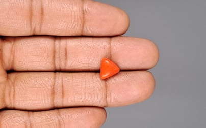 Italian Red Coral - 2.74 Carat Limited Quality TC-5115