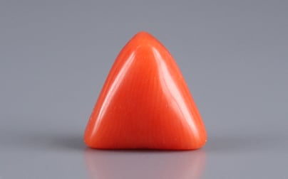 Italian Red Coral - 2.95 Carat Prime Quality TC-5111