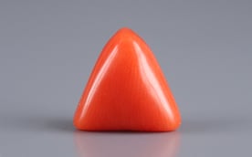Italian Red Coral - 2.95 Carat Prime Quality TC-5111