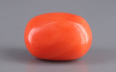 Italian Red Coral - 22.28 Carat Rare Quality CC-5503