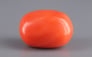 Italian Red Coral - 22.28 Carat Rare Quality CC-5503