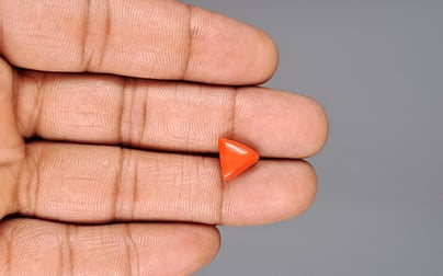 Italian Red Coral - 3.06 Carat Limited Quality TC-5055