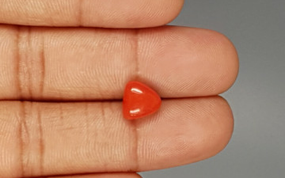 Italian Red Coral - 3.07 Carat Limited Quality TC-5256