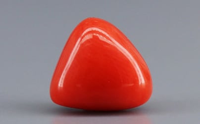Italian Red Coral - 3.07 Carat Limited Quality TC-5256
