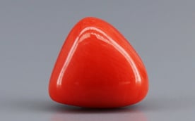 Italian Red Coral - 3.07 Carat Limited Quality TC-5256