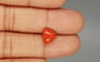 Italian Red Coral - 3.1 Carat Limited Quality TC-5255