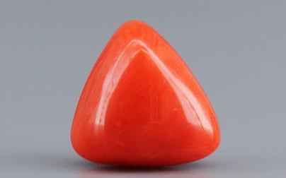 Italian Red Coral - 3.1 Carat Limited Quality TC-5255