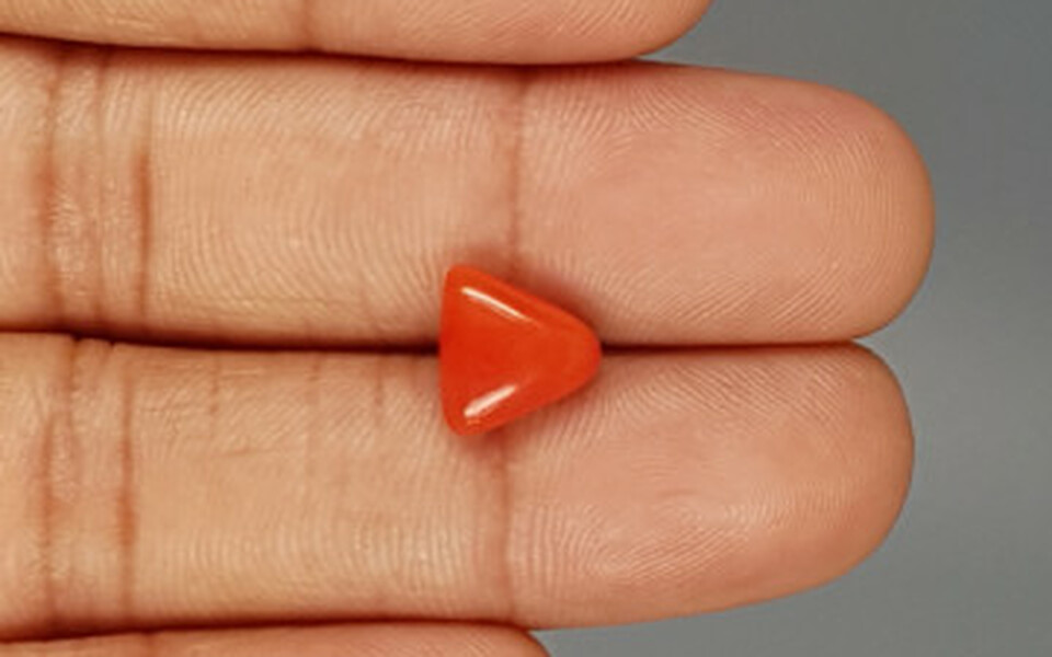 Italian Red Coral - 3.17 Carat Limited Quality TC-5257