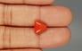 Italian Red Coral - 3.17 Carat Limited Quality TC-5257