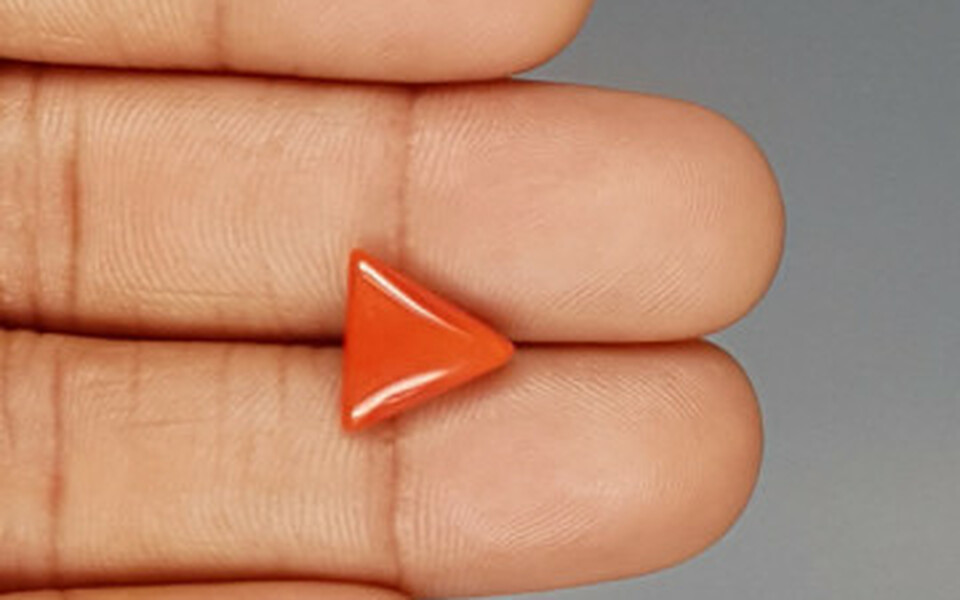 Italian Red Coral - 3.25 Carat Prime Quality TC 5236