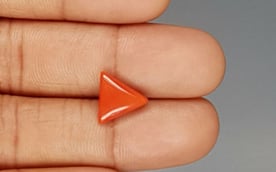 Italian Red Coral - 3.25 Carat Prime Quality TC 5236