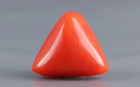 Italian Red Coral - 3.25 Carat Prime Quality TC 5238