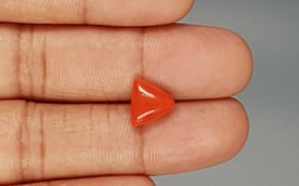 Italian Red Coral - 3.27 Carat Limited Quality TC-5289