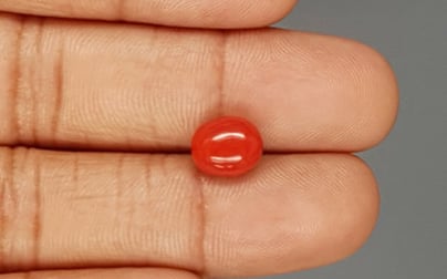 Italian Red Coral - 3.28 Carat Limited Quality CC-5790