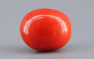 Italian Red Coral - 3.28 Carat Limited Quality CC-5790