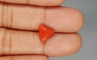 Italian Red Coral - 3.28 Carat Limited Quality TC-5288
