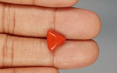 Italian Red Coral - 3.28 Carat Limited Quality TC-5288