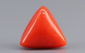 Italian Red Coral - 3.28 Carat Limited Quality TC-5288