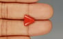 Italian Red Coral - 3.3 Carat Prime Quality TC 5232