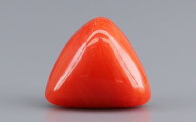 Italian Red Coral - 3.31 Carat Limited Quality TC-5259