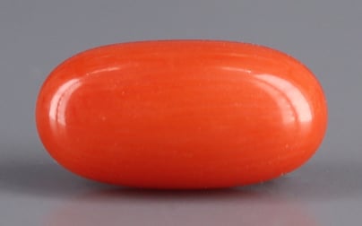 Italian Red Coral - 3.31 Carat Rare Quality CC-5573