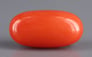Italian Red Coral - 3.31 Carat Rare Quality CC-5573