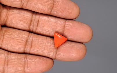 Italian Red Coral - 3.32 Carat Prime Quality TC-5051