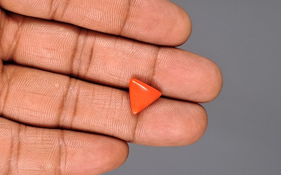 Italian Red Coral - 3.32 Carat Prime Quality TC-5051