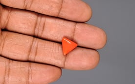 Italian Red Coral - 3.32 Carat Prime Quality TC-5051