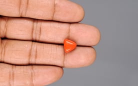 Italian Red Coral - 3.33 Carat Rare Quality TC-5046