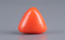 Italian Red Coral - 3.33 Carat Rare Quality TC-5046