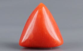 Italian Red Coral - 3.36 Carat Prime Quality TC 5241